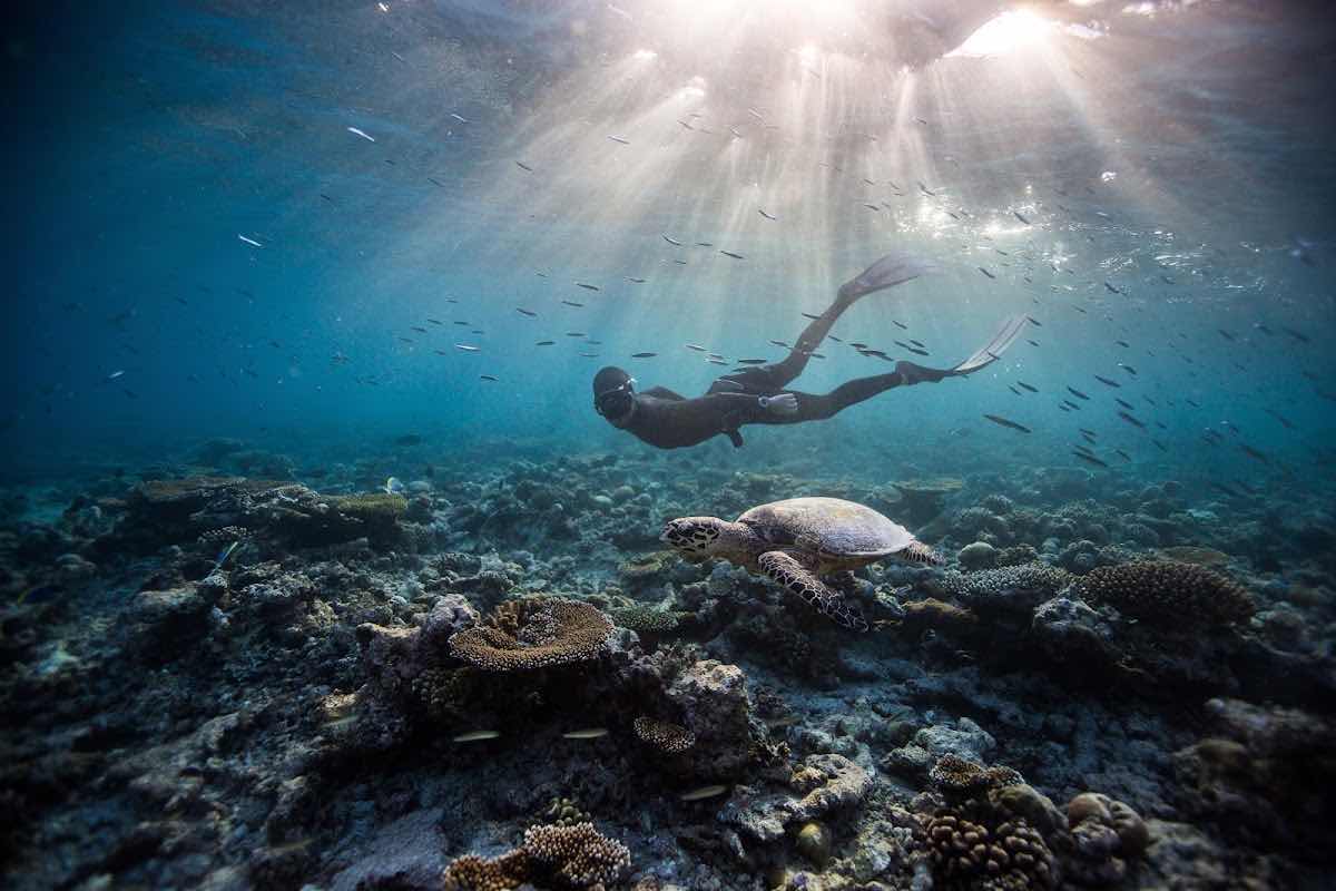 One Breath Lembongan Freediving School photo 4