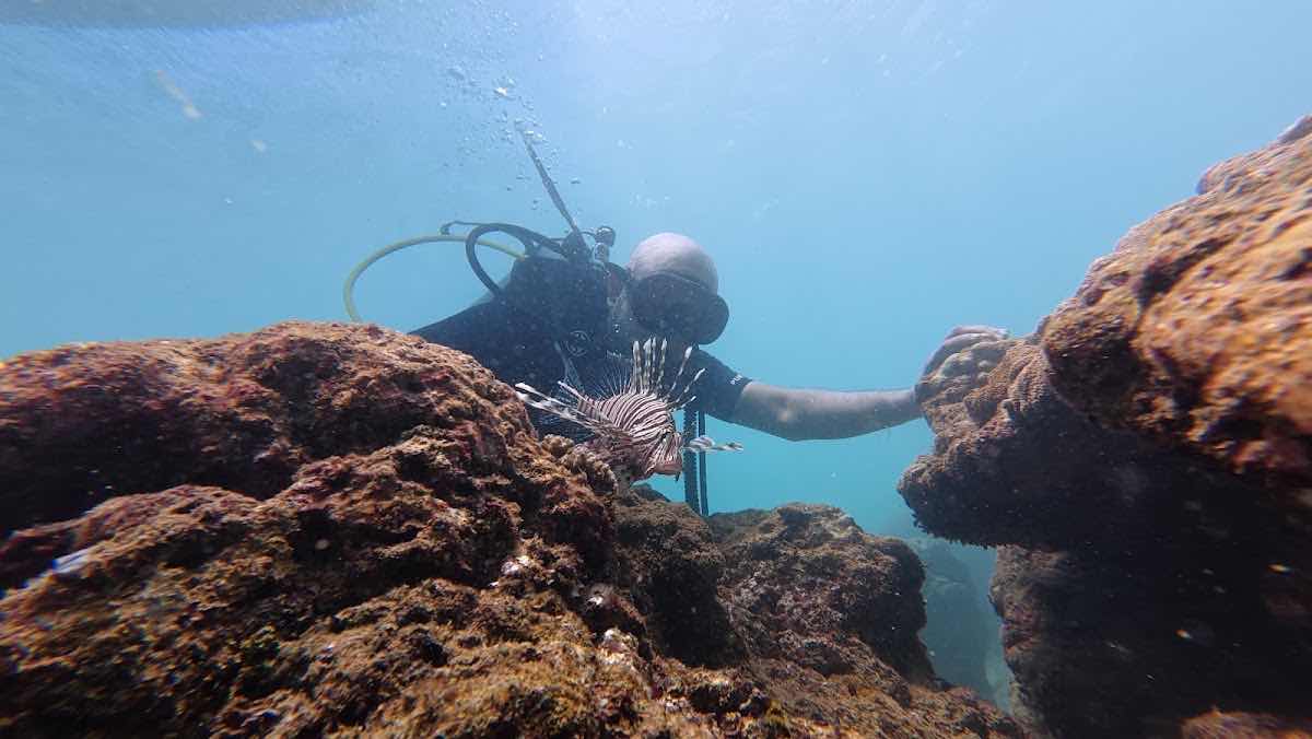 Mirissa Deepsea Fishing centre photo 5