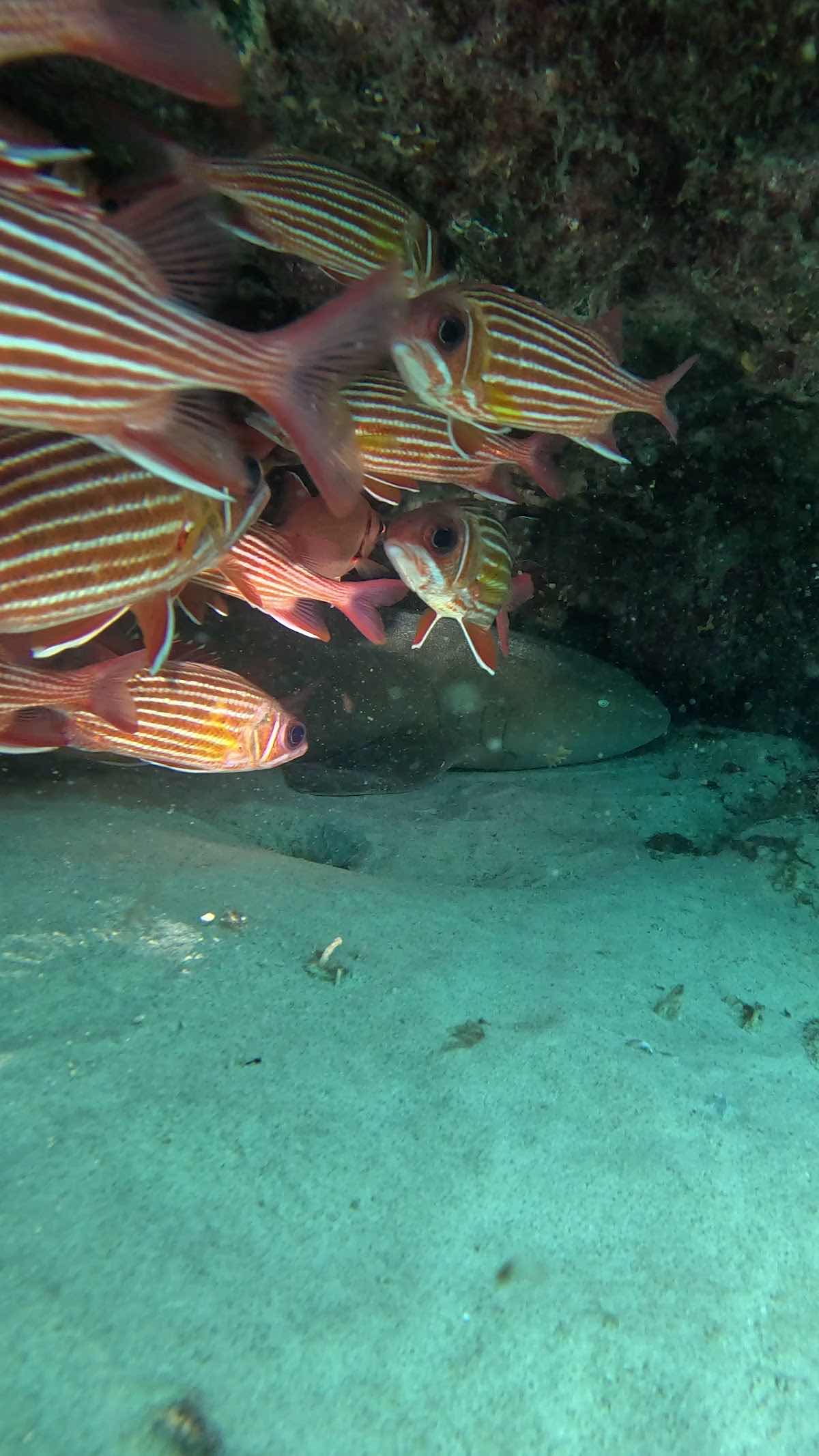 Santa Maria Dive Center photo 2
