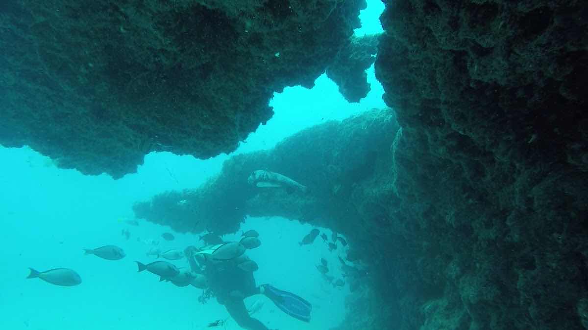 Santa Maria Dive Center photo 3