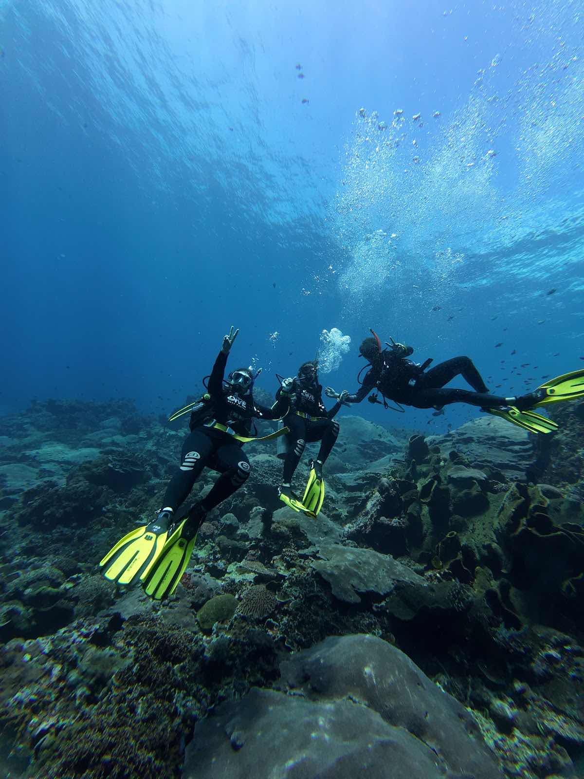 Purple Dive Nusa Penida photo 3
