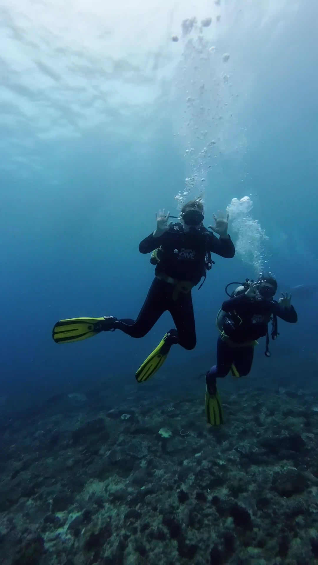 Purple Dive Nusa Penida photo 4