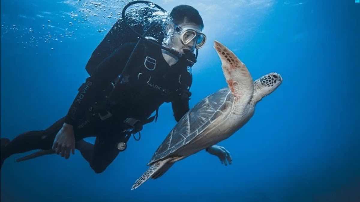 Palau 7th Wonder Dive & Tours photo 3