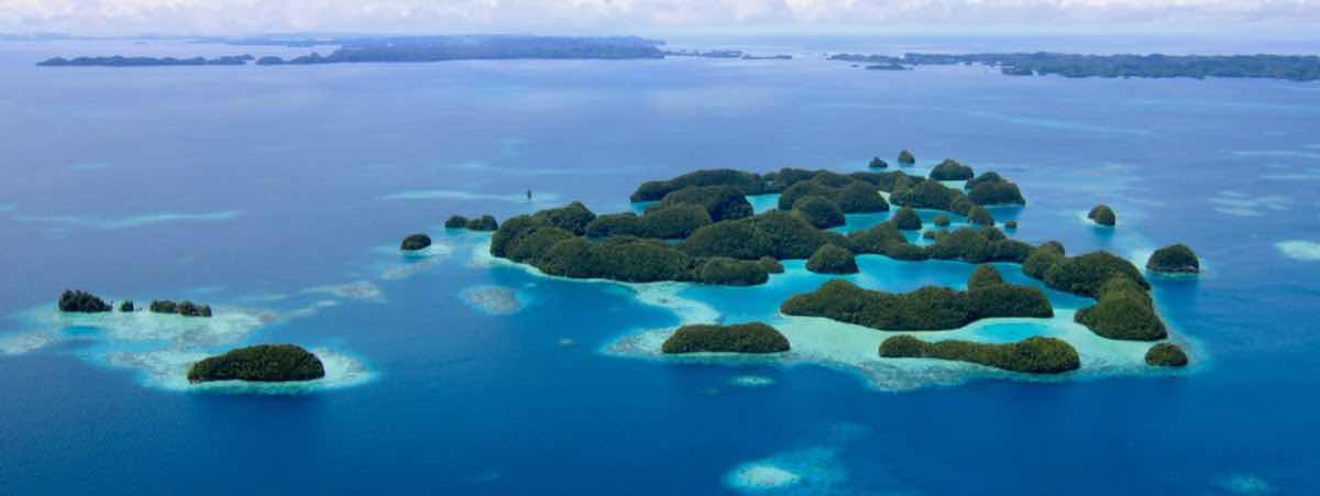 Palau 7th Wonder Dive & Tours photo 8