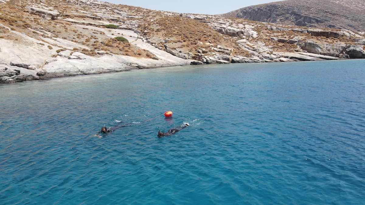 Horizon Diving - Premium Scuba diving and Snorkeling - Boat Location photo 9