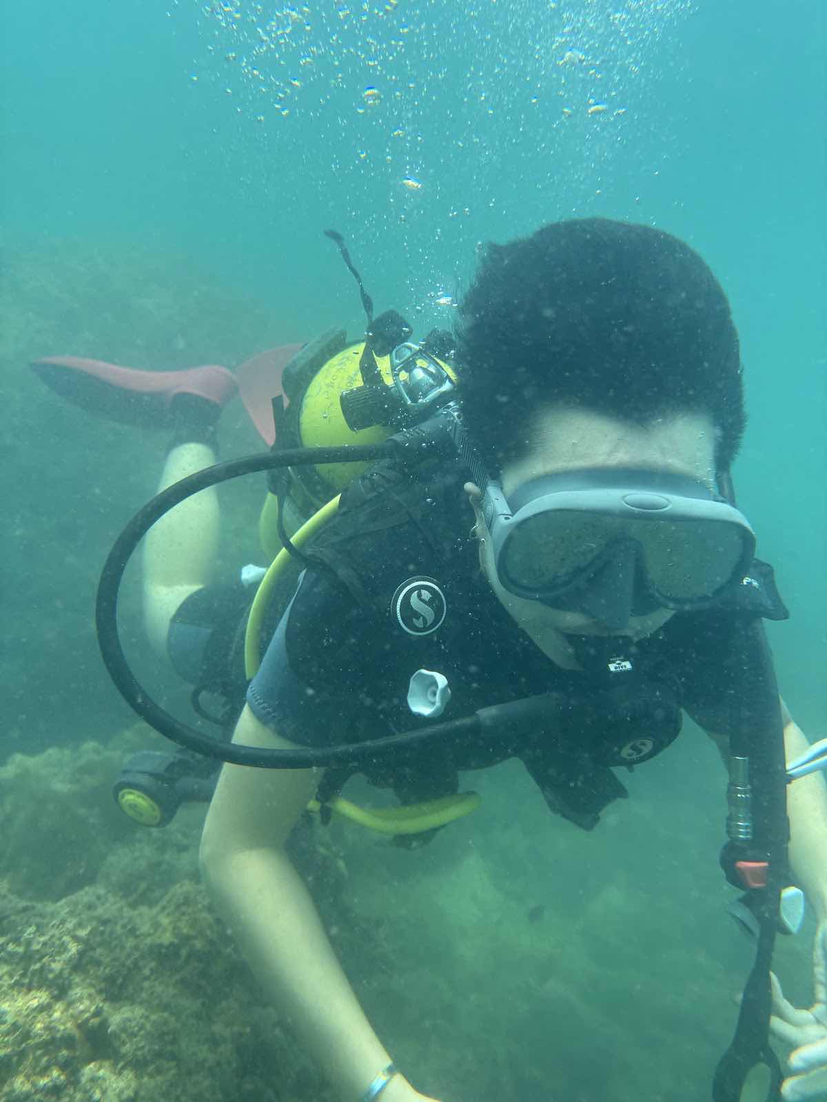 Sasa Eco Diving - Marine Animals Rescue Center photo 1