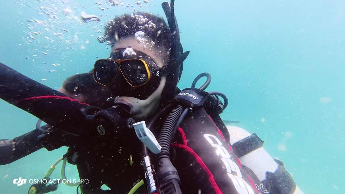 Sasa Eco Diving - Marine Animals Rescue Center photo 3