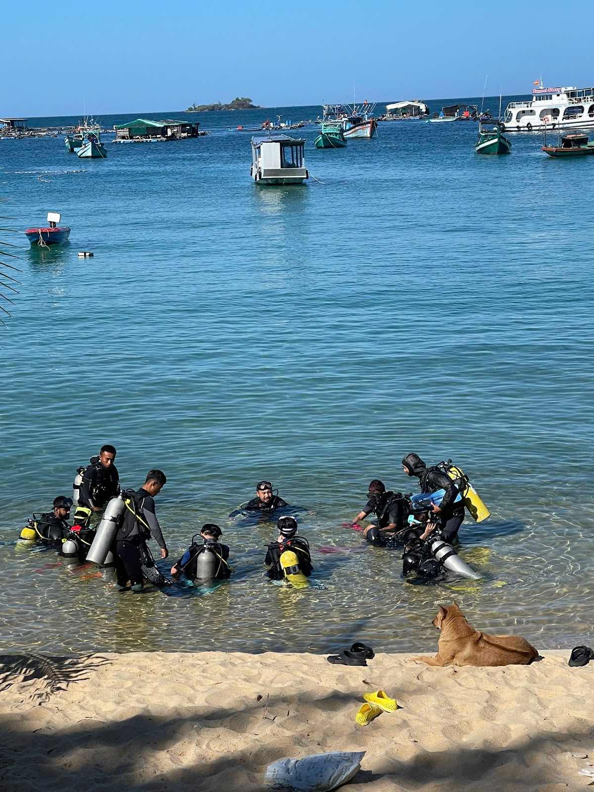 Sasa Eco Diving - Marine Animals Rescue Center photo 5