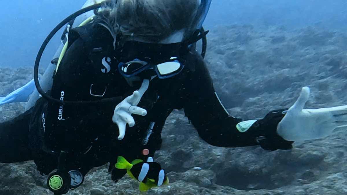 Big Blue Vanuatu photo 4