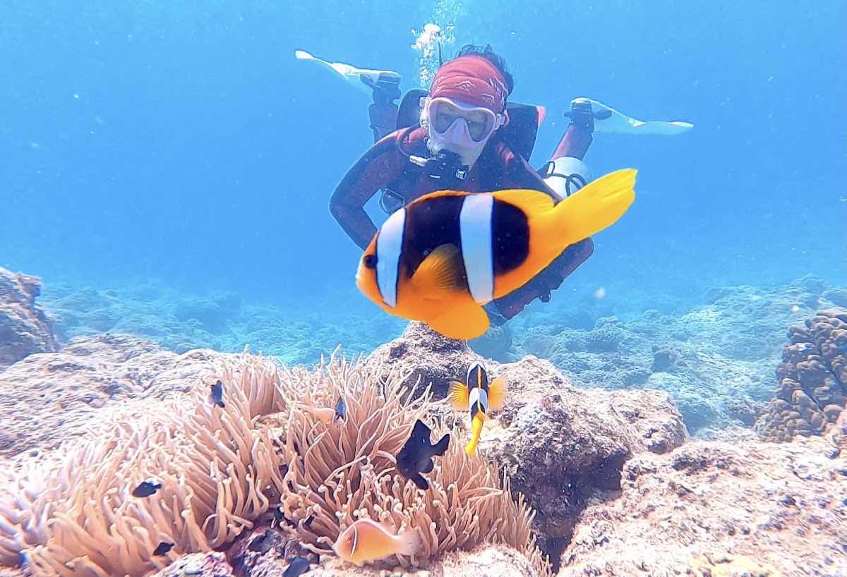 Big Blue Vanuatu photo 5