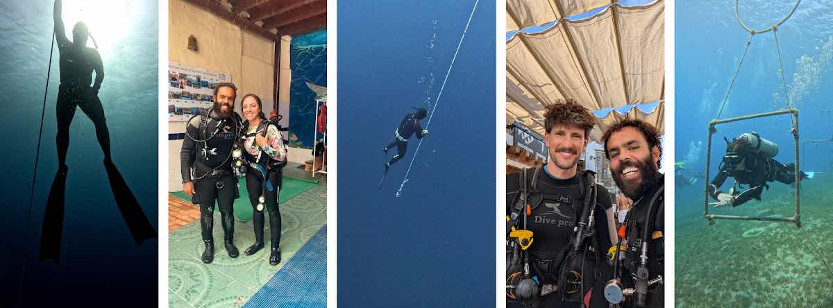 The Dive Guru | Freediving instructor | Scuba diving instructor photo 1