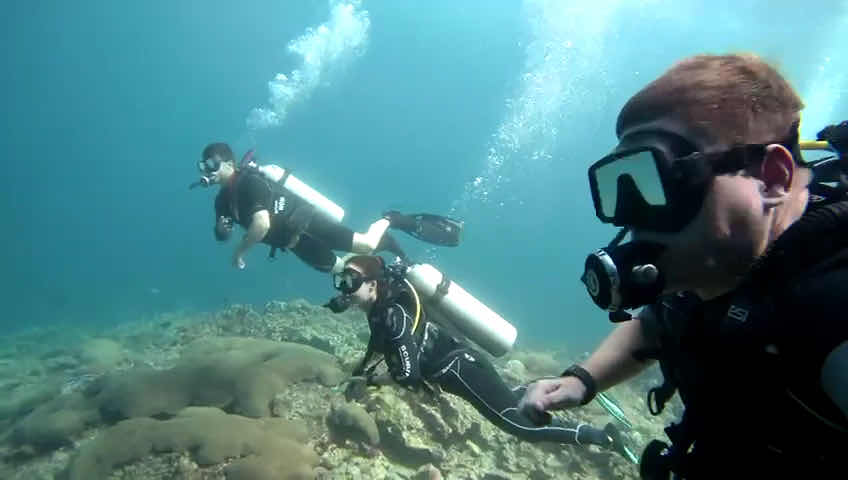 Flip Flop Divers photo 4