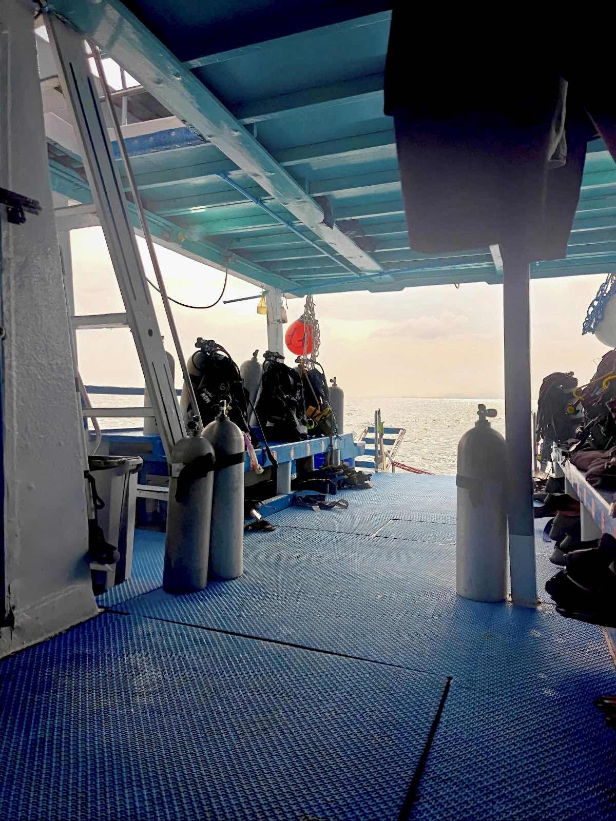 Flip Flop Divers photo 5