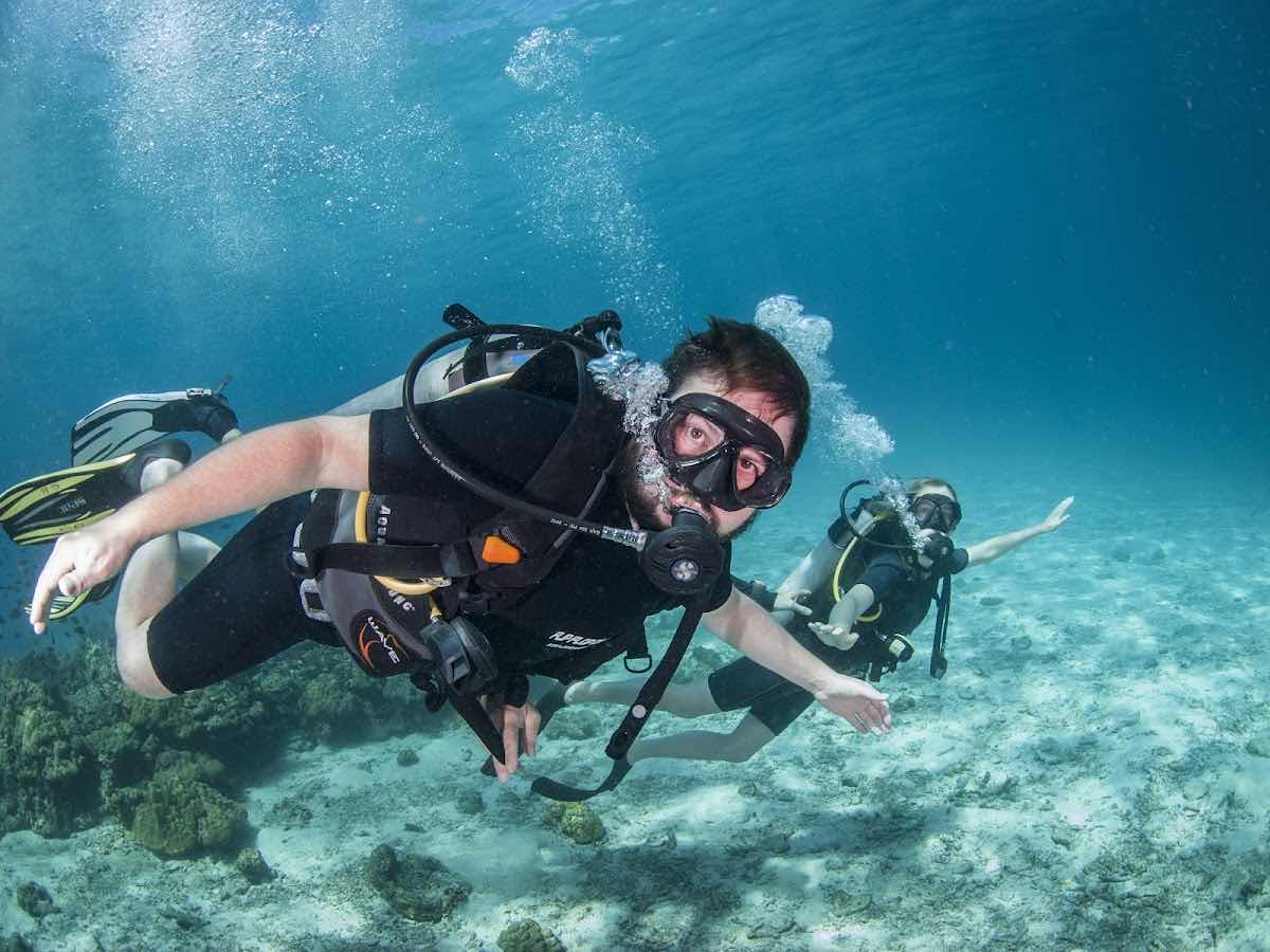 Flip Flop Divers photo 6