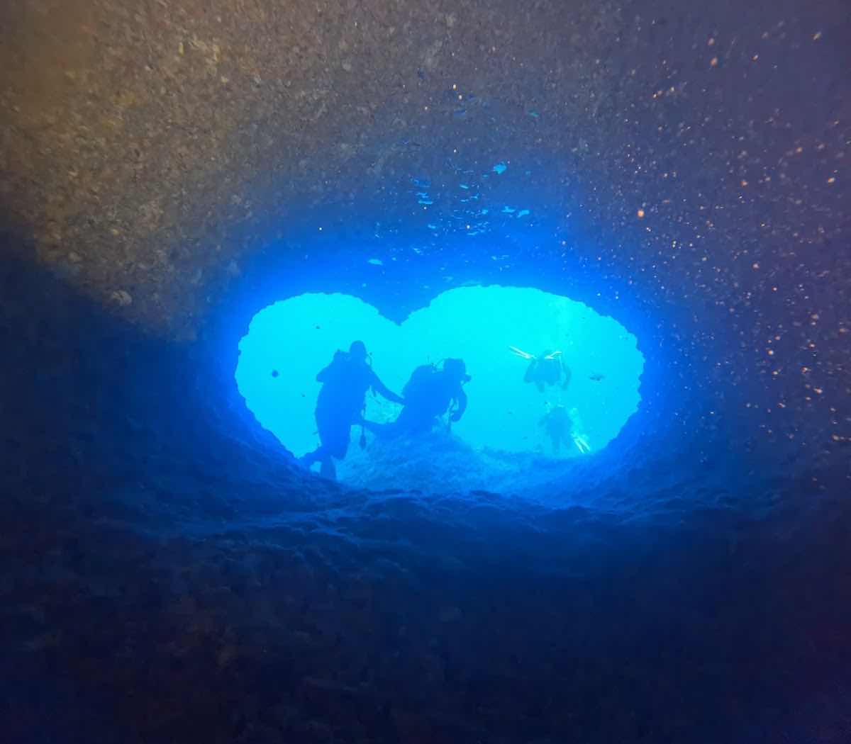 Alghero Divers photo 10