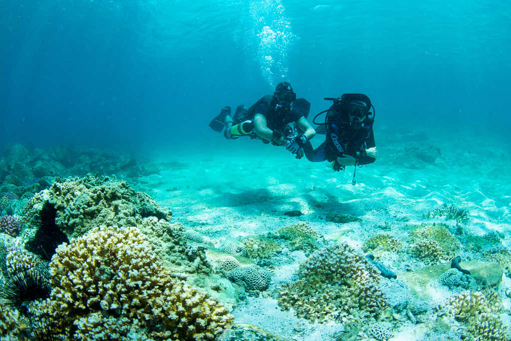 Aquanauts Diving Centre UAE photo 5