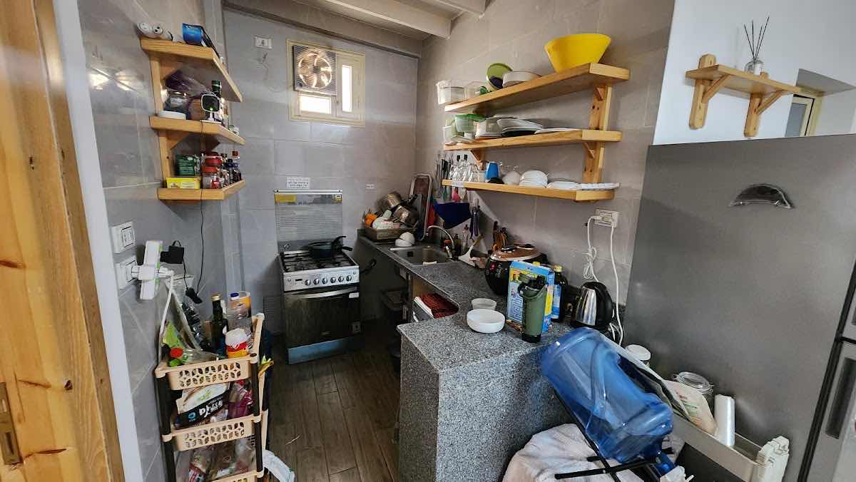 골든옥토퍼스 photo 8