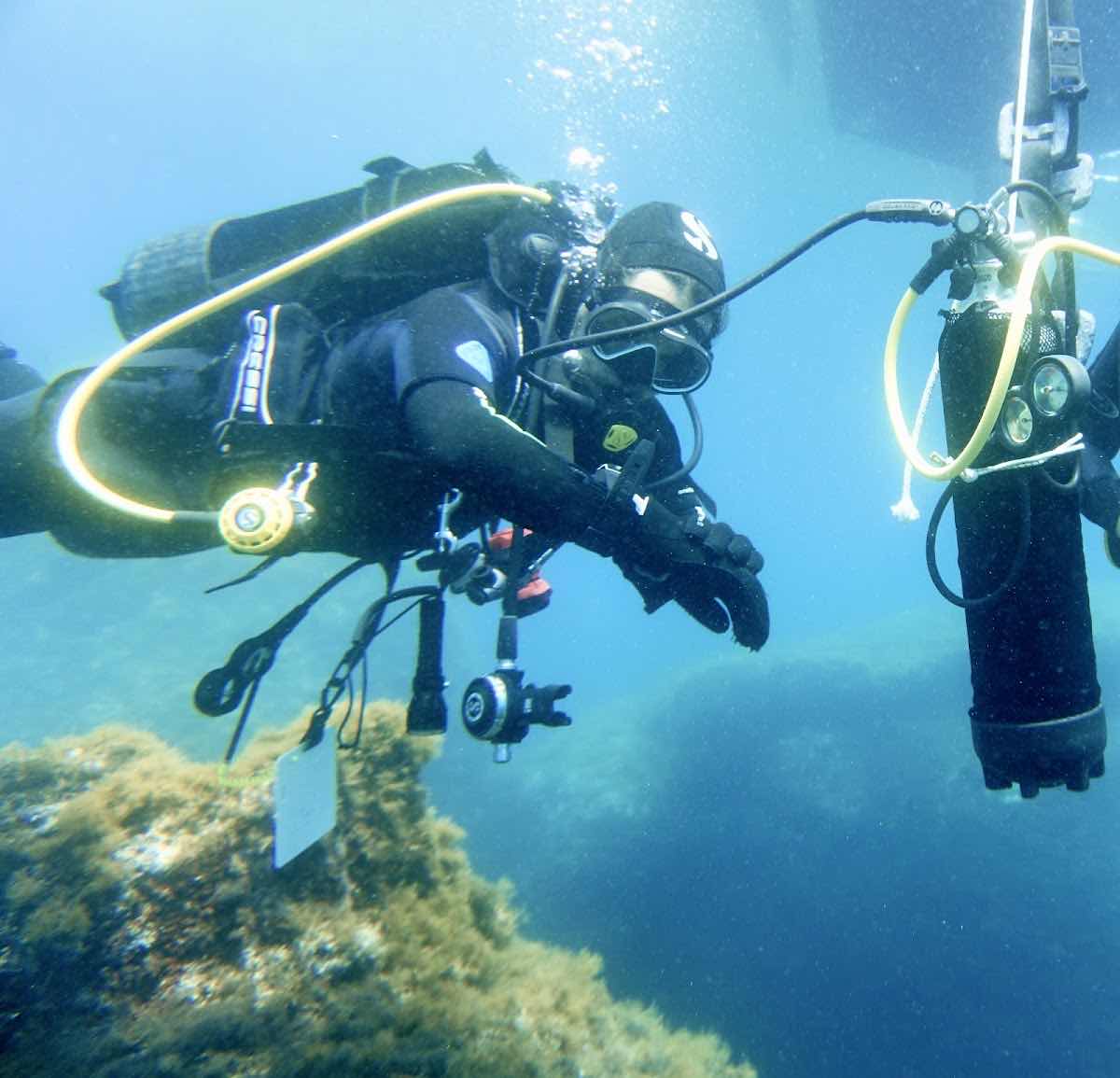 Kalo'scubadiving photo 2