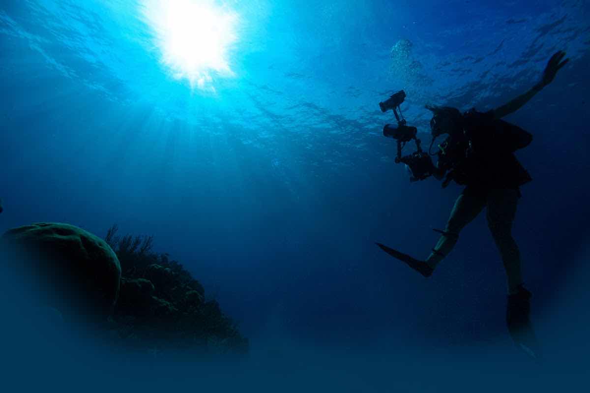 Kalo'scubadiving photo 6