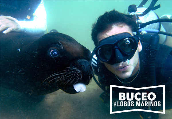 Scuba Steve photo 4
