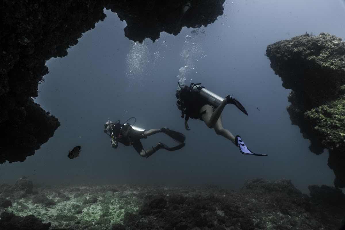 Scuba Steve photo 5