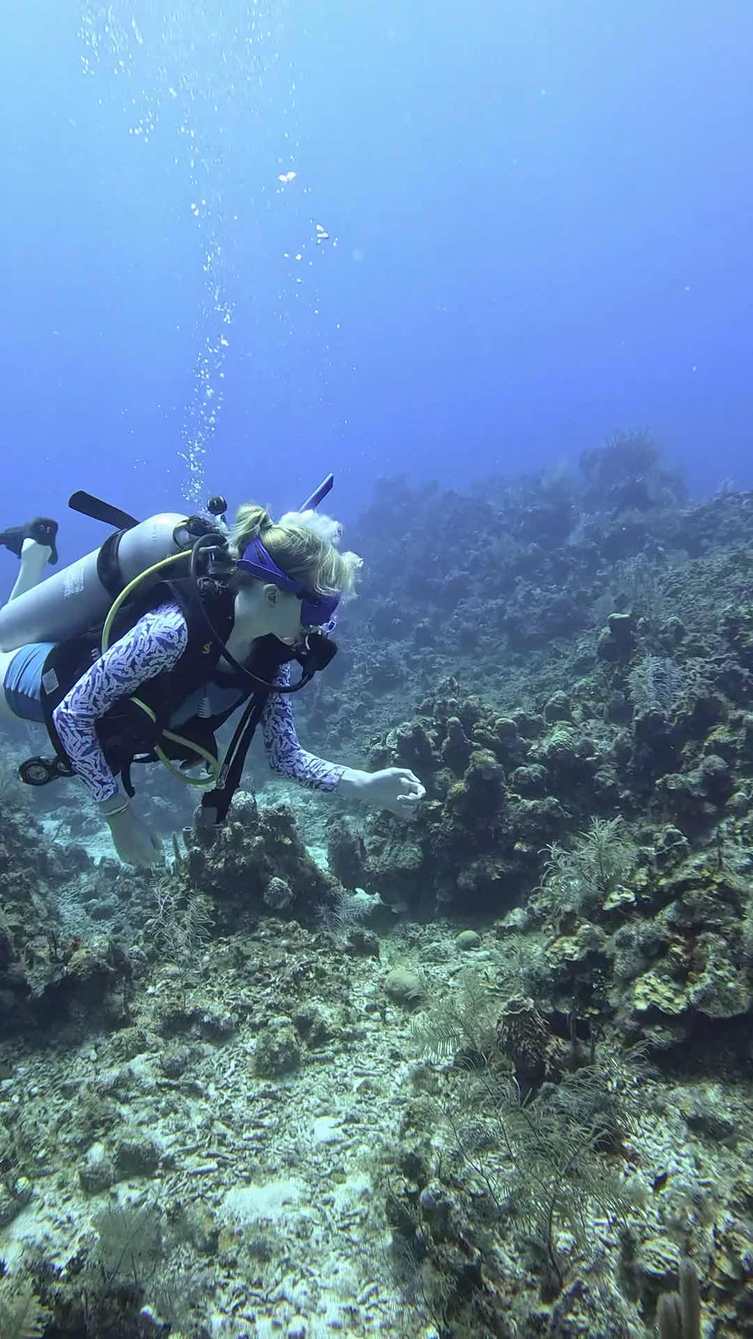 Moana Divers Roatan photo 3