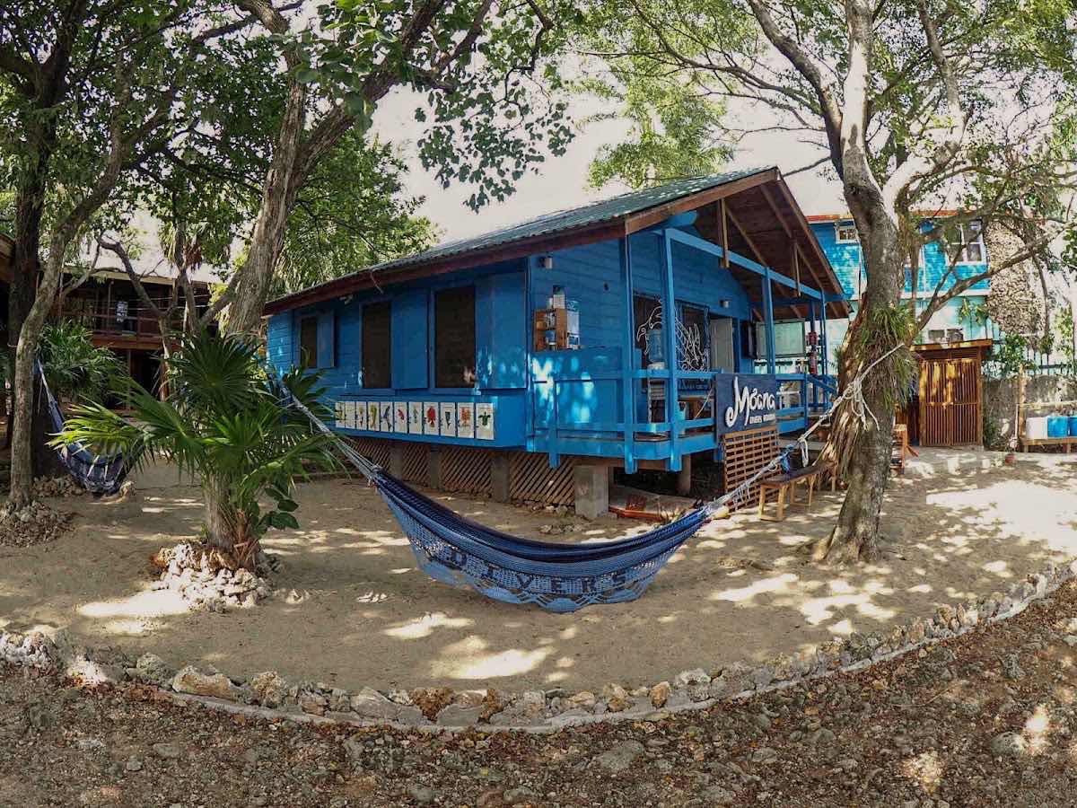 Moana Divers Roatan photo 4