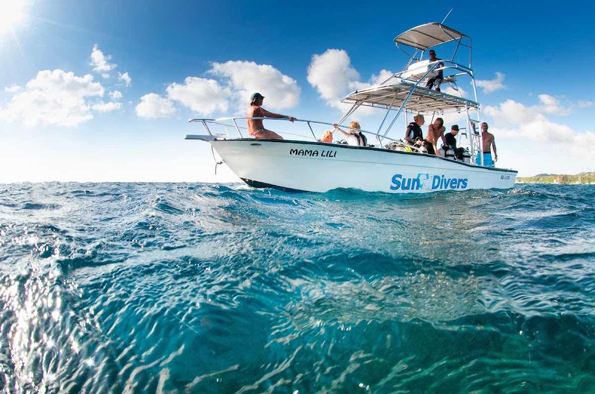 Moana Divers Roatan photo 5
