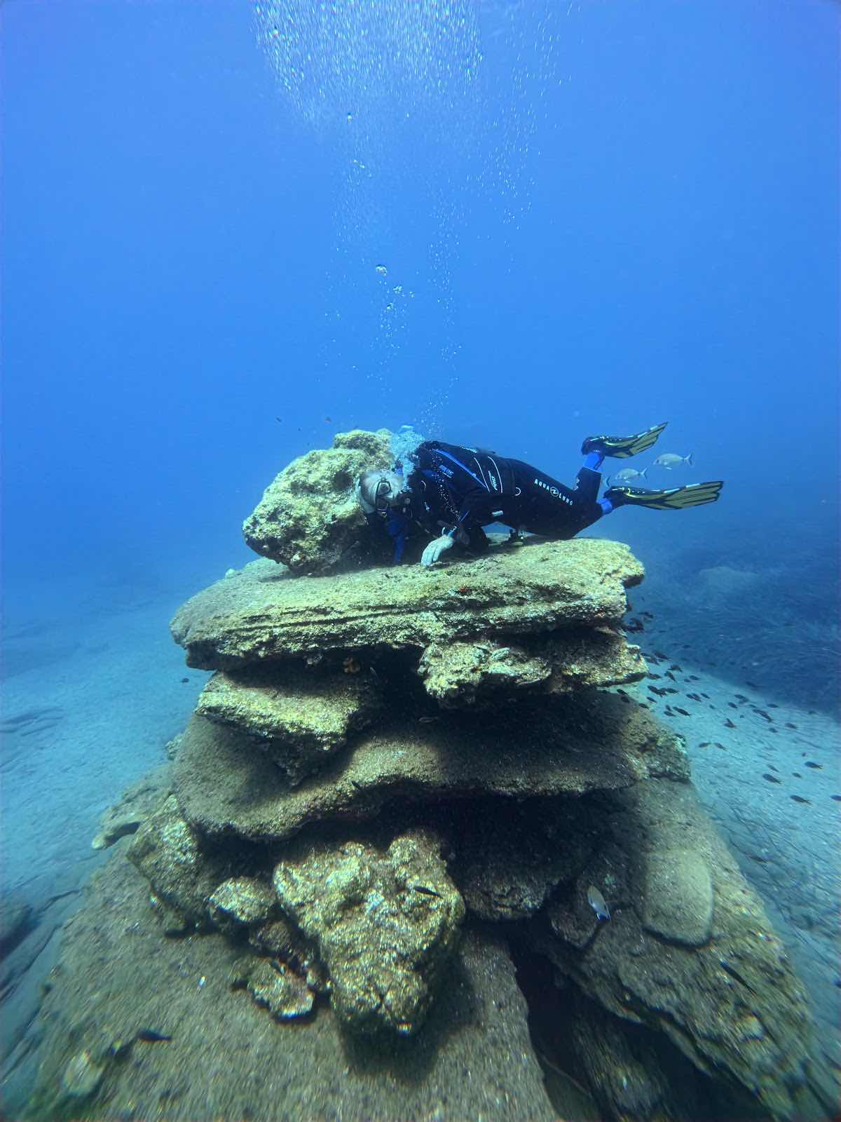 Dolphin Diving Center photo 2