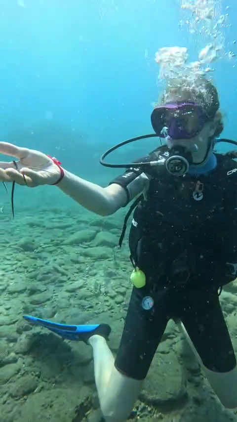 Dolphin Diving Center photo 3