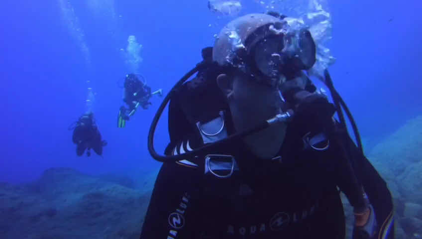 Dolphin Diving Center photo 4