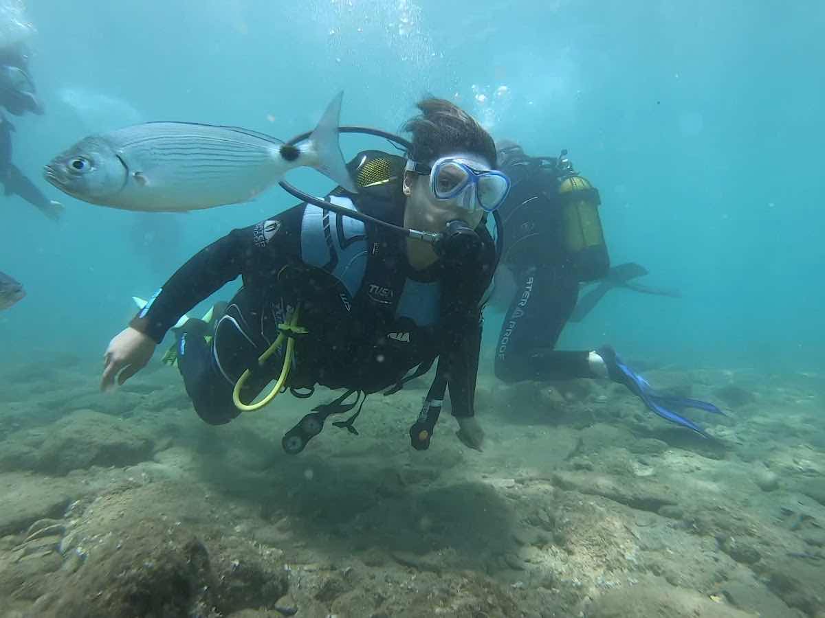 Dolphin Diving Center photo 6