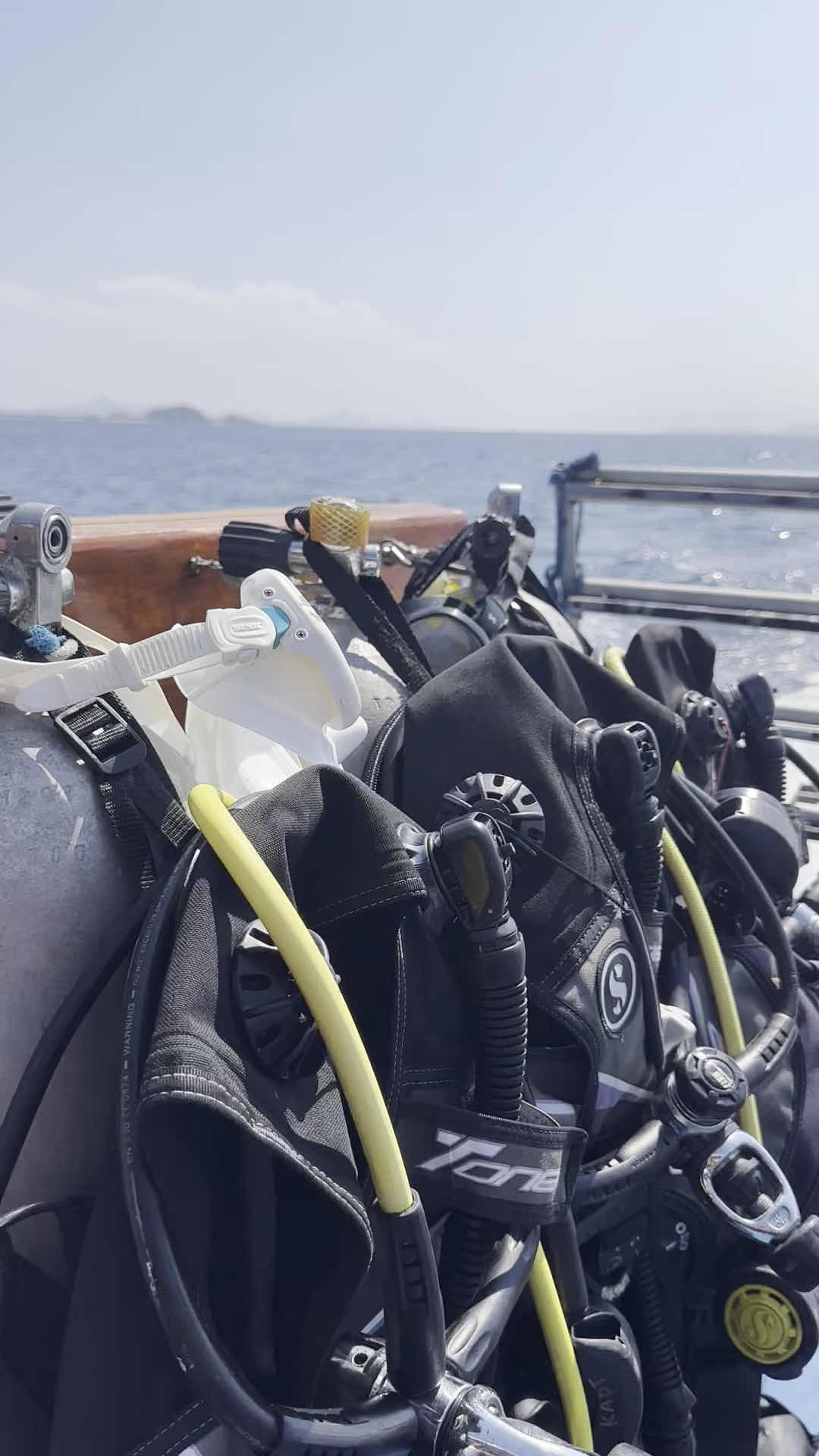 Komodo Adventure Dive Travel photo 3