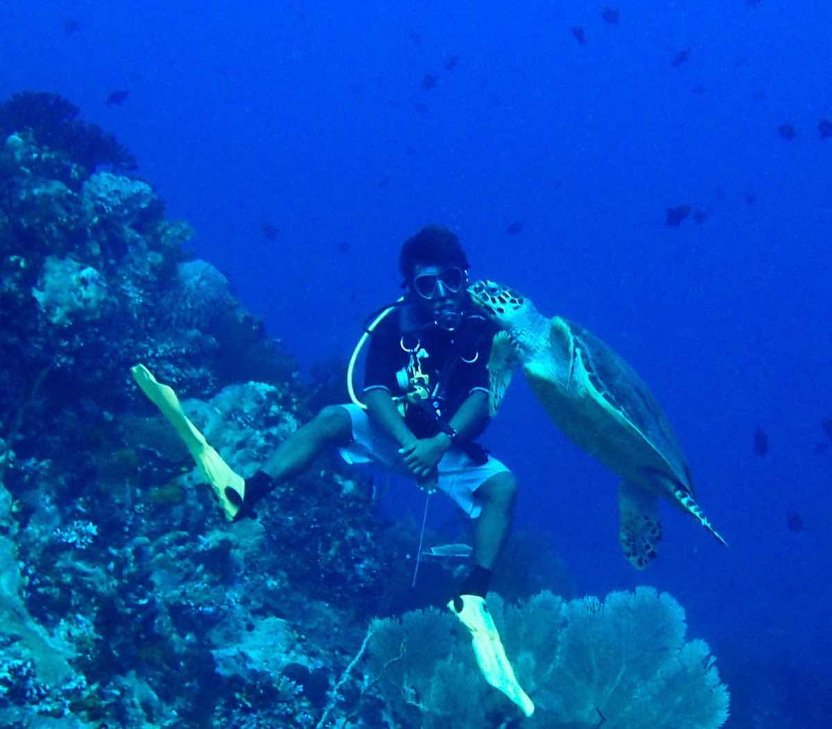 Komodo Adventure Dive Travel photo 4