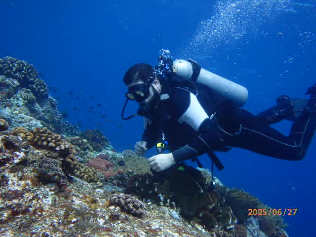 Komodo Adventure Dive Travel photo 8