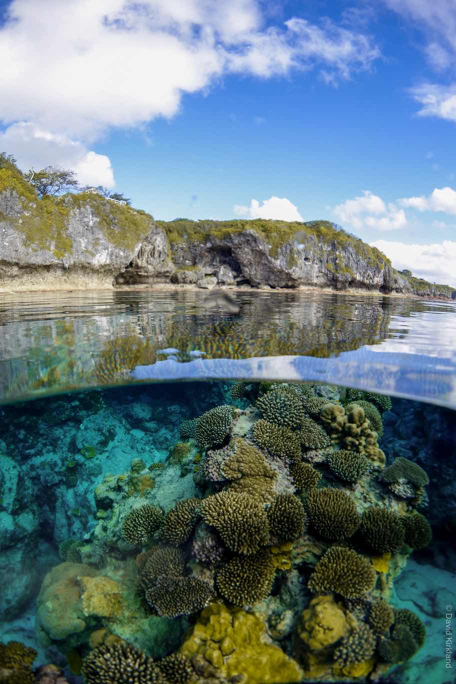 Niue Blue photo 1