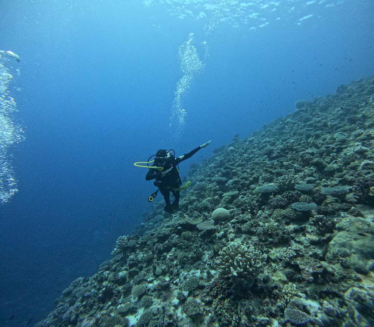Niue Blue photo 9