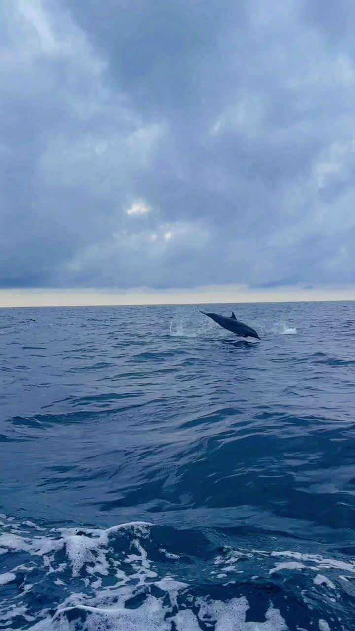 DERAWAN TRIP INDONESIA photo 4