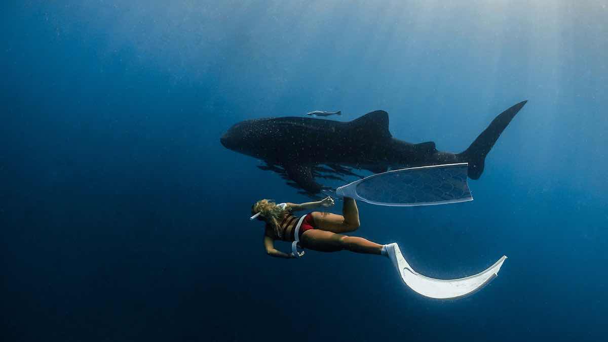 DERAWAN TRIP INDONESIA photo 10