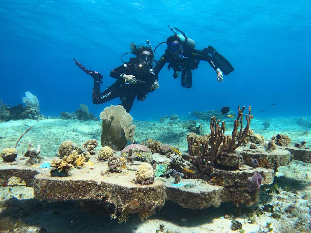 Alma Libre Dive Center Cozumel photo 1
