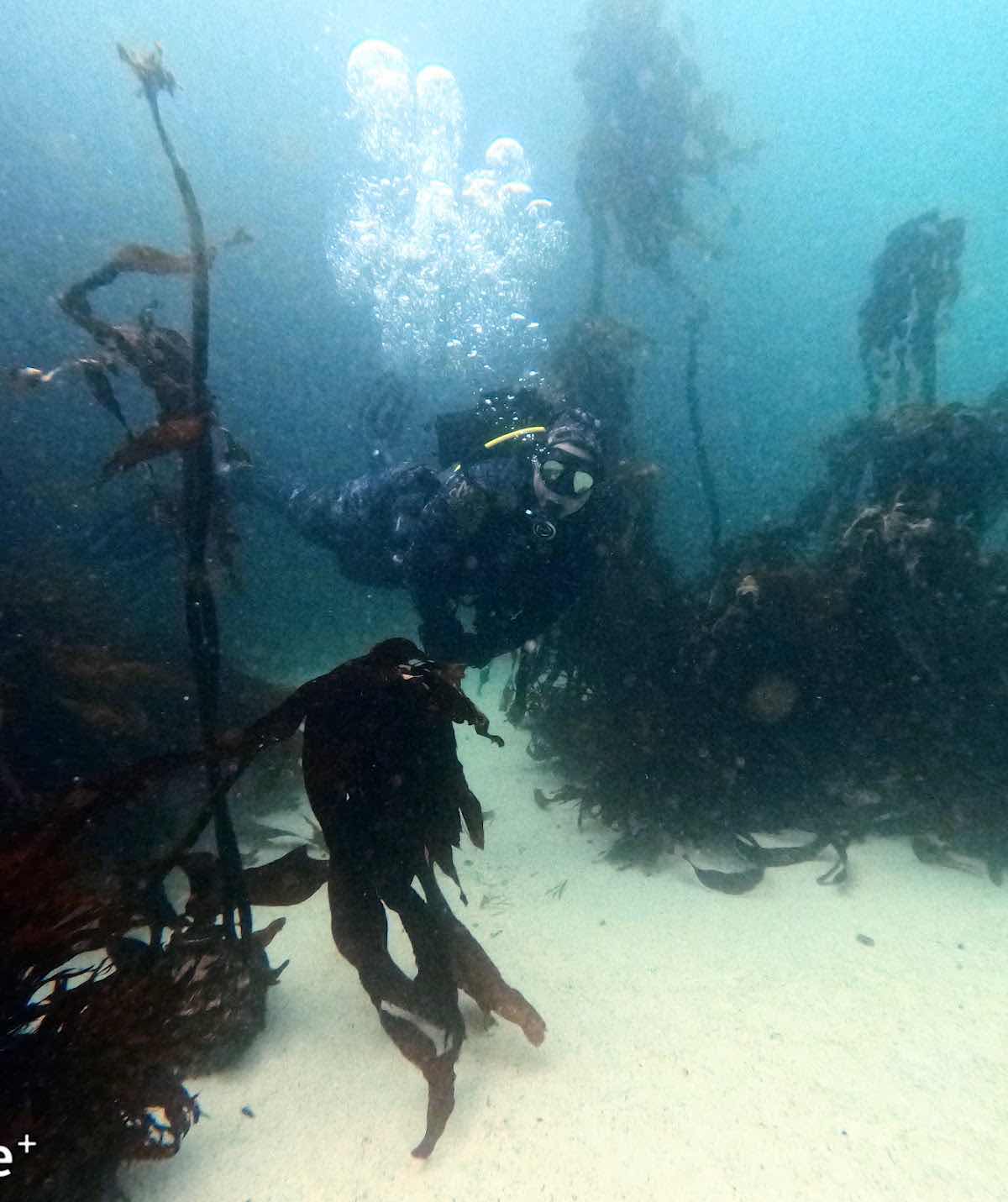 African Ocean Adventures photo 7