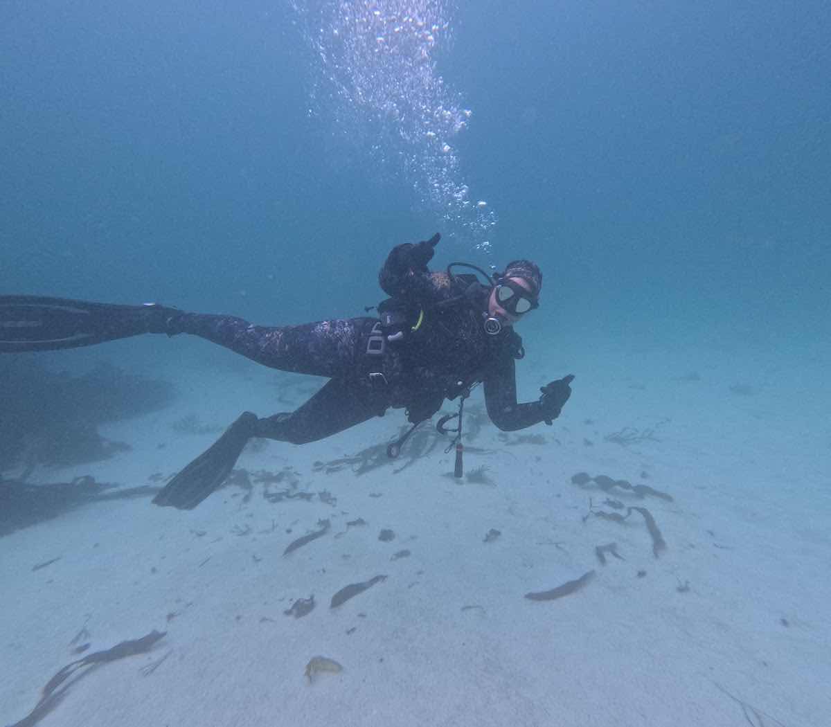 African Ocean Adventures photo 8