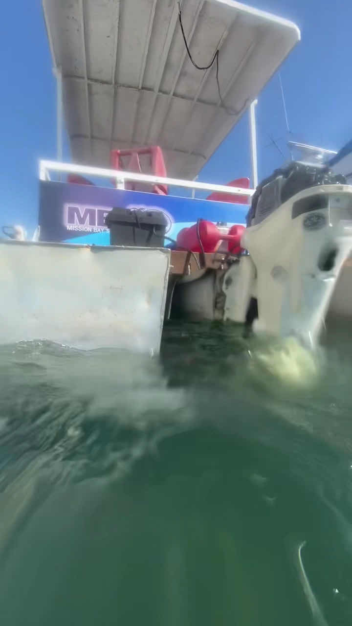 Justin Time Diving photo 3
