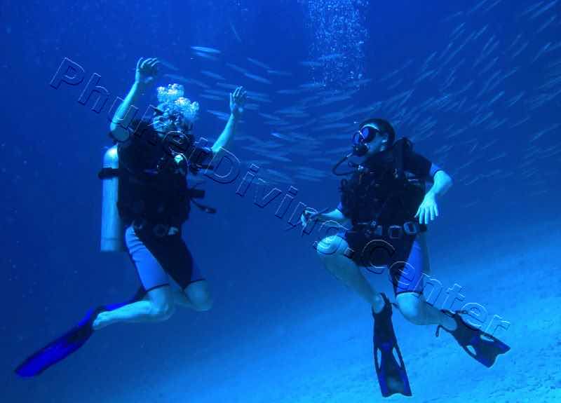 Love Diving Phuket - Chalong Pier photo 5
