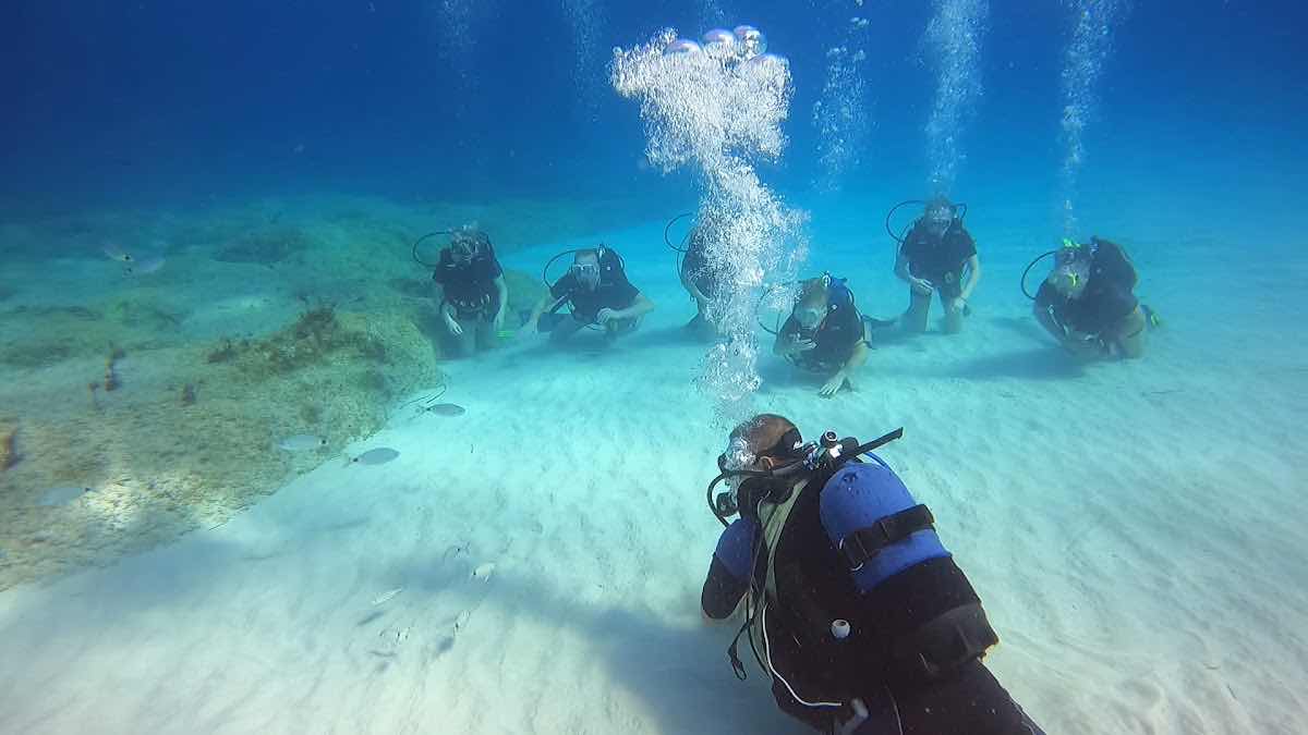 Olympian divers photo 3