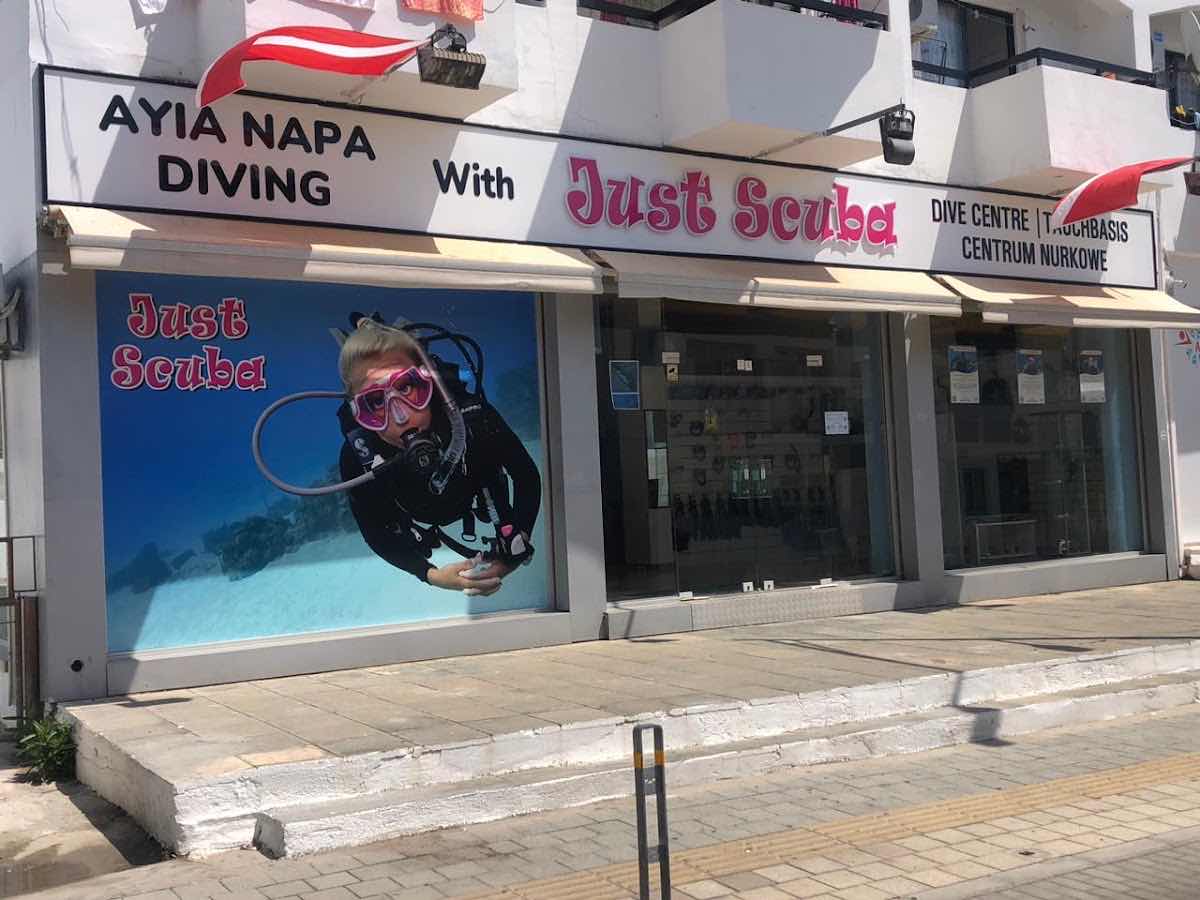 Olympian divers photo 5