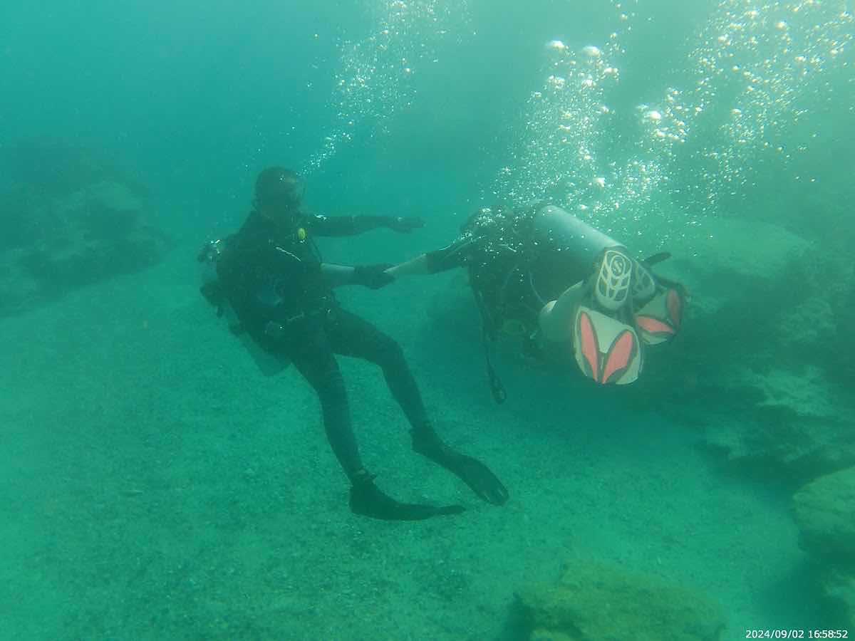 Olympian divers photo 6