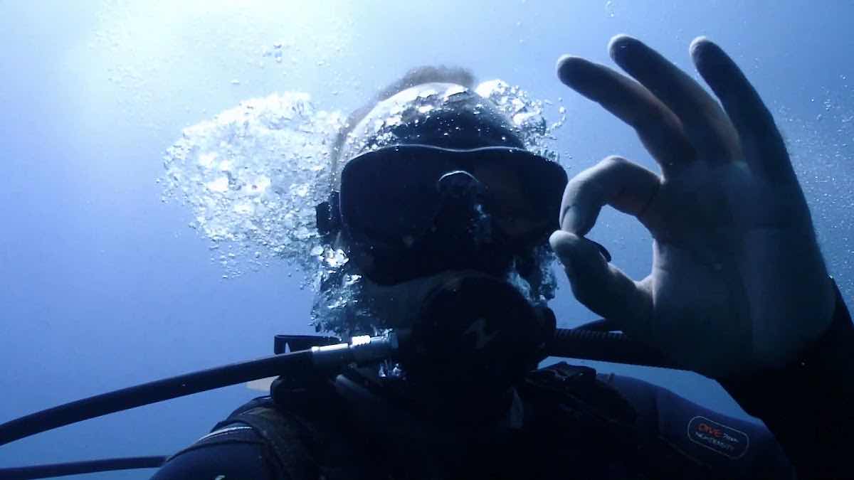 Haliotis Madeira Diving Center photo 3