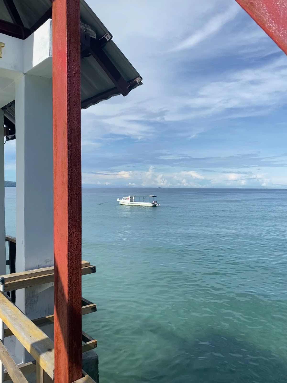 Spice Island Divers & Resort photo 4