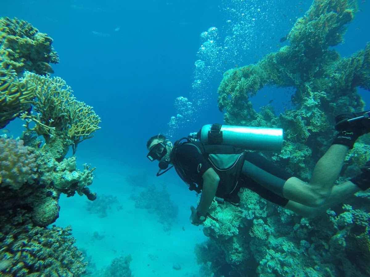Big Whale dive center photo 9